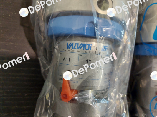Z901421 Valvaut