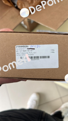 80000004  21W4KB250-BDV08024CY Ode