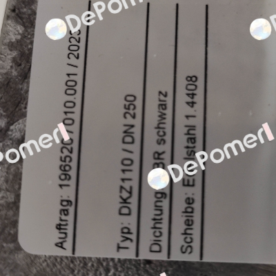 DKZ110 DN 250 WX 2000 Warex