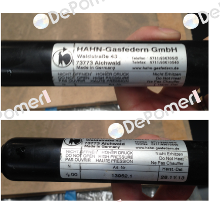13952.1  Hahn Gasfedern