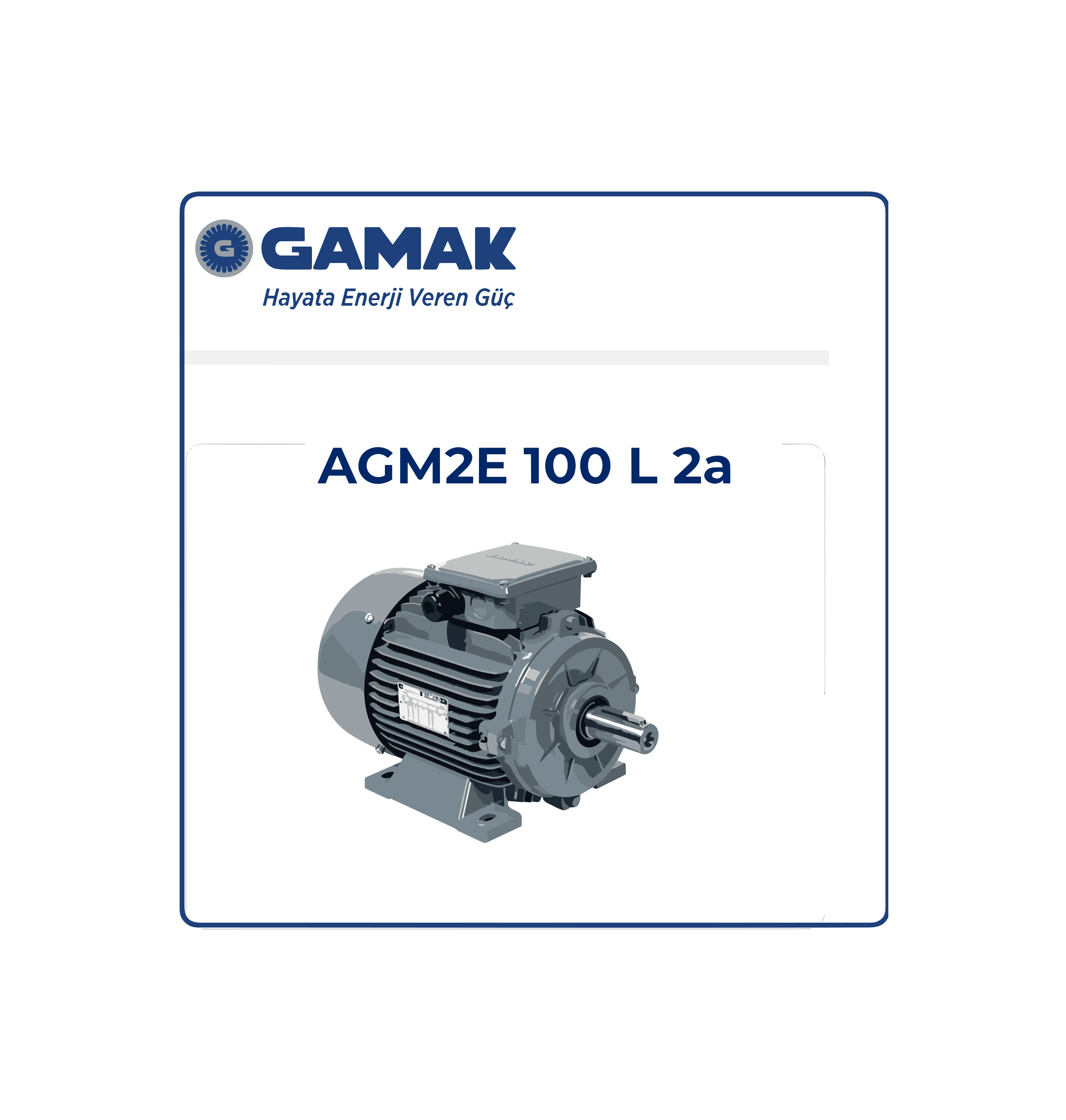 2007 177409 AGM 100 L 2 Gamak