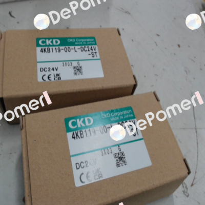 4KB119-00-L-DC24V Ckd